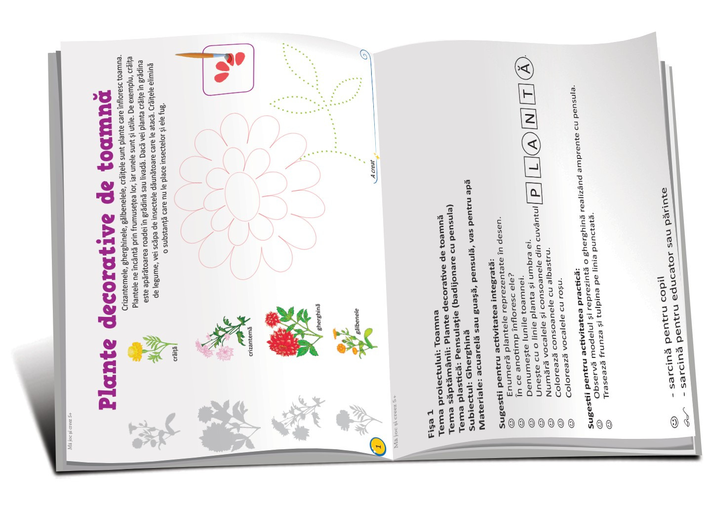 Mă joc și creez 5+ (cu foi detașabile)